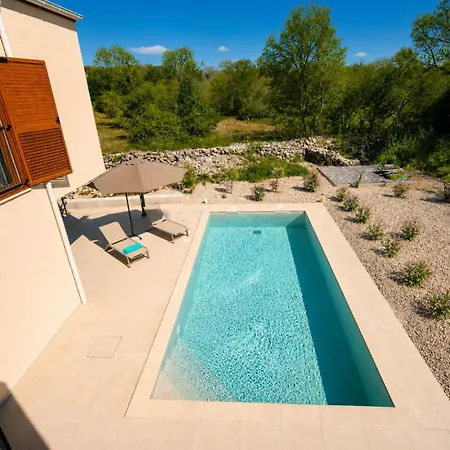 Olive Court *